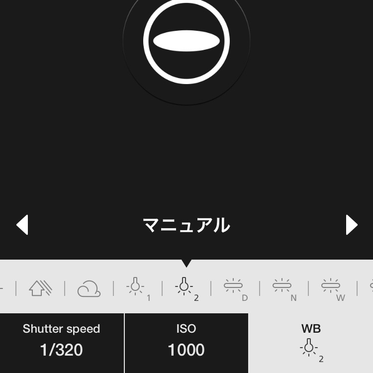 マニュアルで設定できる項目